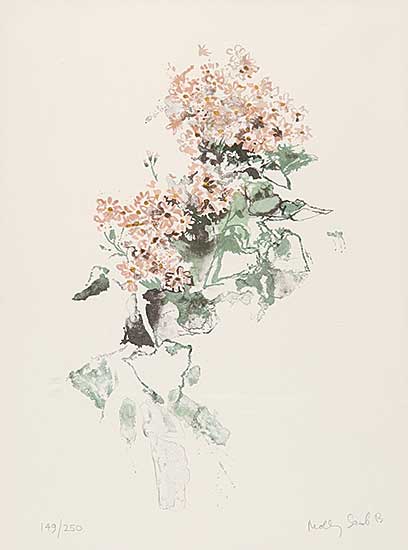 #407 ~ Bobak - Pink Cineraria  #149/250