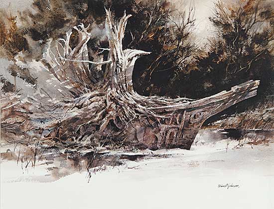 #438 ~ Johnson - Shaman