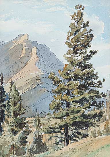 #461 ~ Shelton - Untitled - Mount Cascade