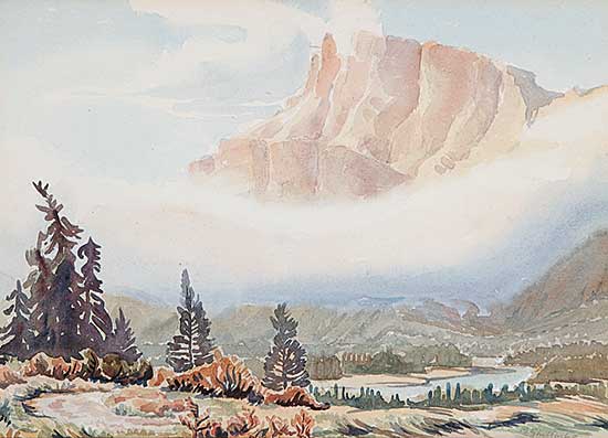 #462 ~ Shelton - Untitled - Low Mist
