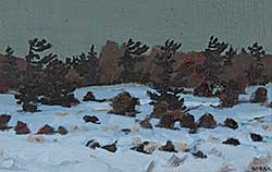 #2 ~ Bobak - Pines in Winter