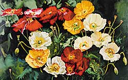 #71 ~ Nagy - Red with Yellow and White