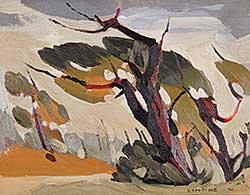 #307.1 ~ Lindoe - Untitled - Ancient Grove