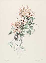 #407 ~ Bobak - Pink Cineraria  #149/250