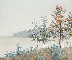 #420.1 ~ Fanshaw - A Grey Day, Clear Lake, R.M.N.P. Manitoba
