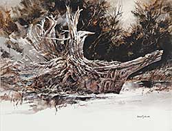 #438 ~ Johnson - Shaman