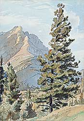 #461 ~ Shelton - Untitled - Mount Cascade