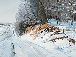 #467 ~ Snyder - Untitled - Along the Property