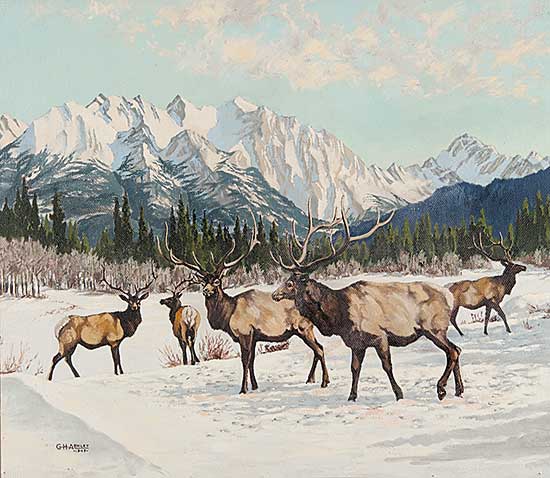 #614 ~ Ashley - Untitled - Elk in the Mountains