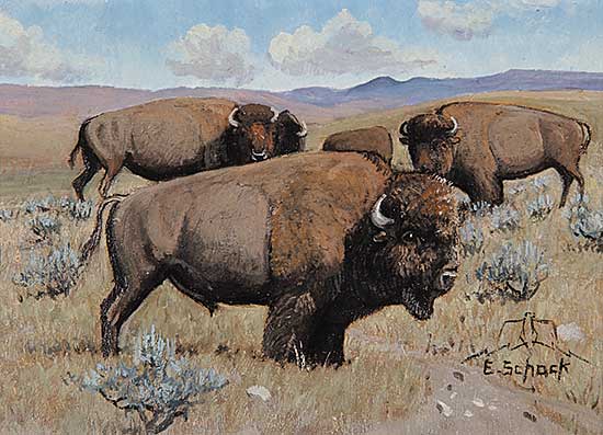 #782 ~ Schock - Buffalo