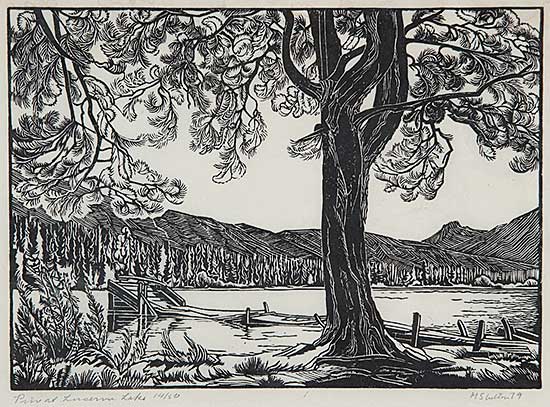 #821.1 ~ Shelton - Pine on Lucerne Lake  #14/50