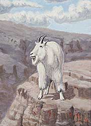 #785 ~ Schock - Mountain Goat