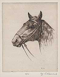 #858 ~ Woodward - Untitled - Portrait of a Horse  #Ed/100