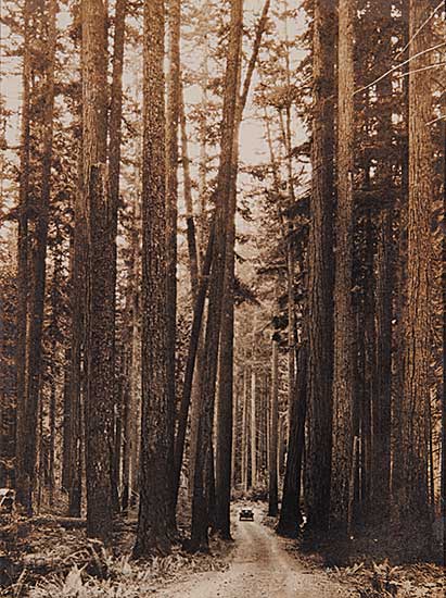 #30 ~ Frank - Canadian Highway, Nanaimo, Alberni, B.C.