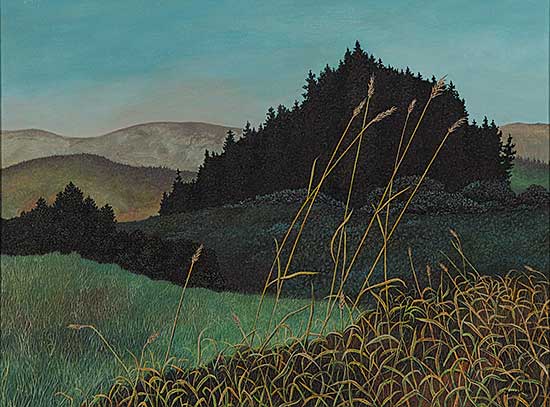 #12 ~ Bovee - Foothills