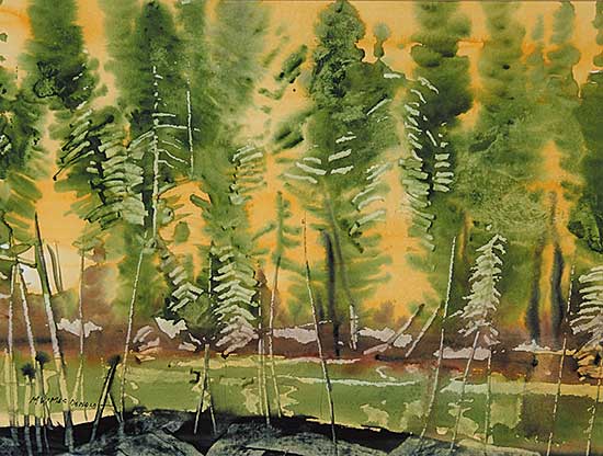 #65 ~ MacDonald - Tamarack and Spruce