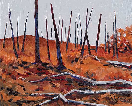 #117 ~ Roberge - Elk Island Deadfall