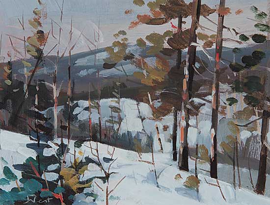 #137 ~ Vest - Whitehorse Winterscape