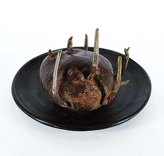 #13 ~ Cicansky - Untitled - New Growth Potato  #2/5