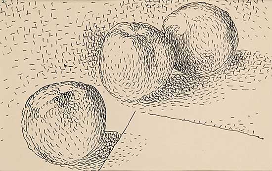 #33 ~ FitzGerald - Apples