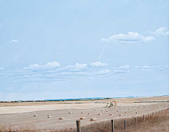 #79 ~ Raftery - Baling near Springbank