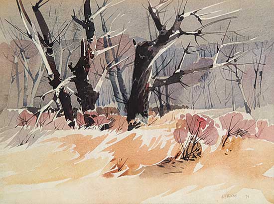 #425 ~ Lindoe - Cottonwoods, Spring