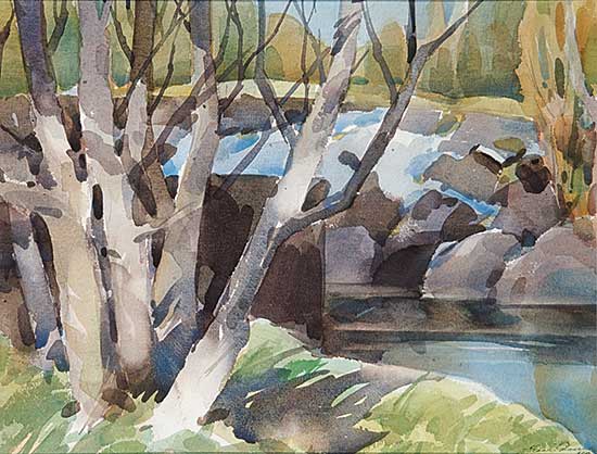 #446 ~ Palmer - Willow Park Course
