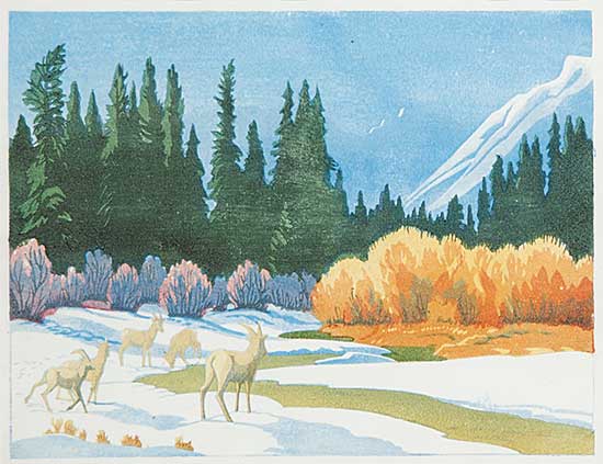 #464 ~ Shelton - Massive Range, Banff, Alta.