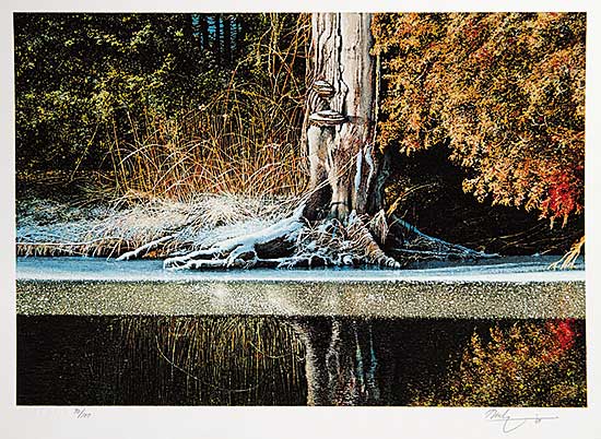 #665 ~ Danby - Untitled - Tree with Melting Snow  #70/100