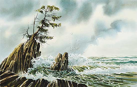 #729 ~ Heine - Pachena Bay, Pacific Rim National Park, Vancouver Island
