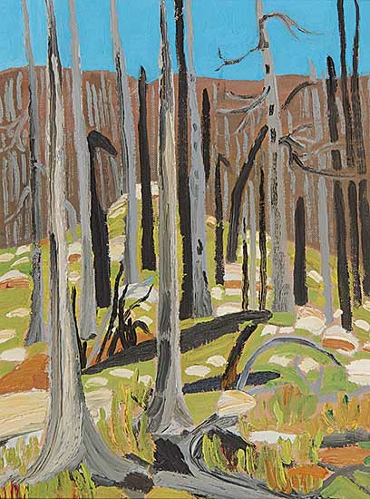 #769 ~ Kerr - Spring, Storm Mt.