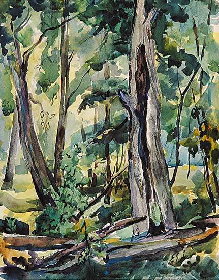 #851 ~ Schneider - Untitled - In the Forest