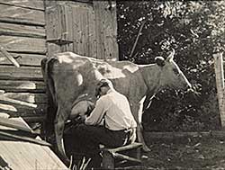 #755 ~ Johnston - Milking the Cow #755 ~ Johnston - Milking the Cow