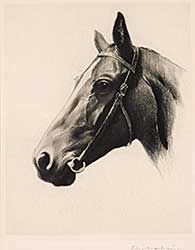 #871 ~ School - Untitled - Horse Profile Looking Left