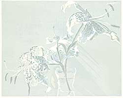 #888 ~ Smith - Untitled - Lilies  #42/50