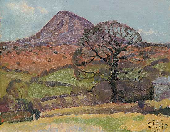 #34 ~ Dingle - Sharpe Tor Cornwall, Early Spring