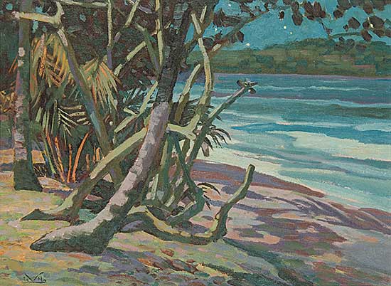 #66 ~ Kerr - Vigie Beach, Moonlight, St. Lucia