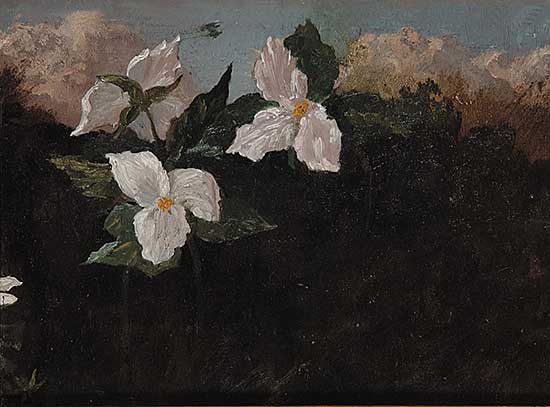 #73.2 ~ Martin - Untitled - Trilliums