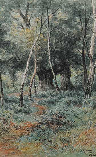 #123 ~ Verner - Untitled - Path in the Woods