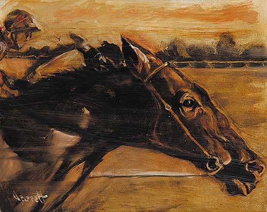 #426 ~ Everett - Thoroughbred I