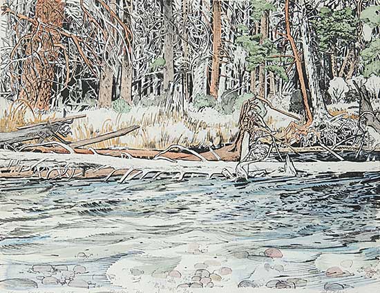 #433 ~ Godwin - The Belanger Suite - Rainbow Run  #9/20
