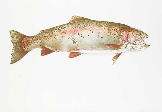 #239 ~ Cowin - Fish [Hen Rainbow]  #35/50
