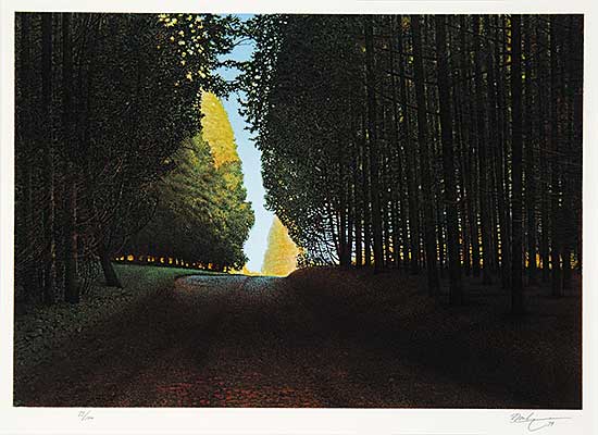 #245 ~ Danby - Untitled - Through the Trees  #73/100