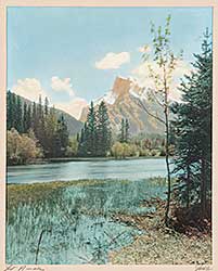 #368 ~ Noble - Mt. Rundle