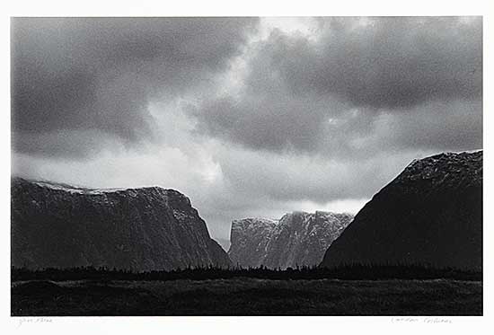 #314 ~ Cochrane - Gros Morne