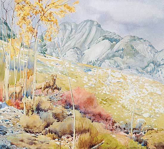 #80 ~ Phillips - Mountain Sheep in the Rockies