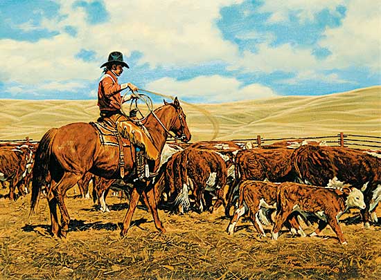 #92 ~ Schnurrenberger - Herding Calfs at Big Meadow
