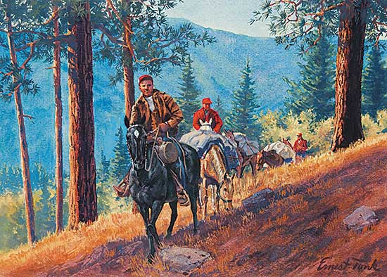 #224 ~ Tonk - High Country