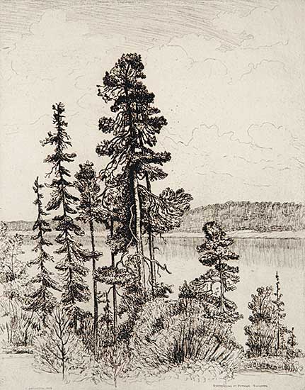 #404 ~ Armington - Evergreens at Porjus, Sweden