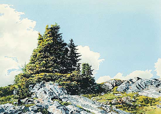 #415 ~ Camping - Weathered Rocks